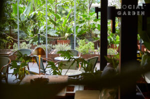 Social Garden Senayan Jakarta